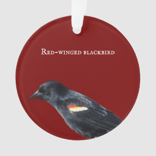 Ornamento Ornament Blackbird de asa vermelha