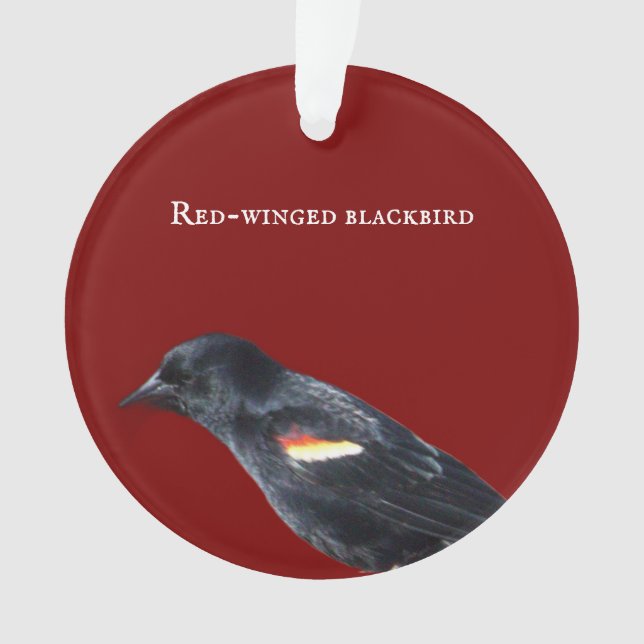 Ornamento Ornament Blackbird de asa vermelha (Frente)