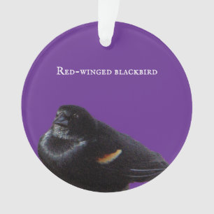 Ornamento Ornament Blackbird de asa vermelha
