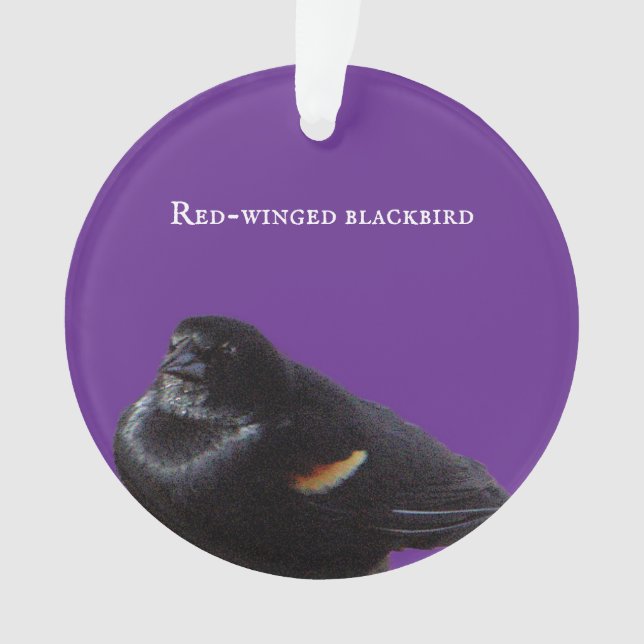 Ornamento Ornament Blackbird de asa vermelha (Frente)