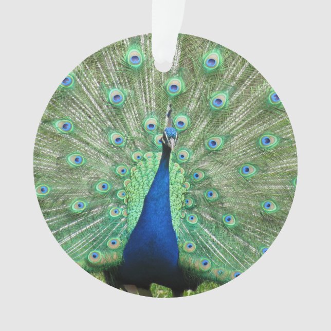 Ornamento Ornament - Peackock (Frente)