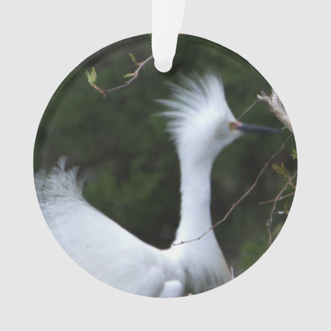 Ornamento Ornament Snowy Egret (Frente)