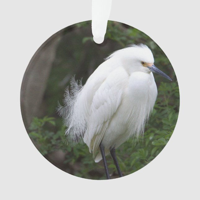 Ornamento Ornament Snowy Egret (Frente)