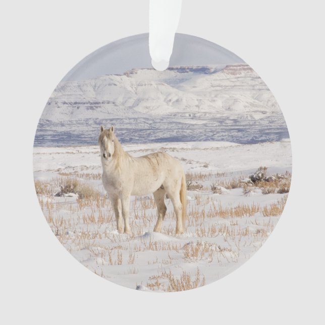 Ornamento Ornament Wild Snow Stallion (Frente)