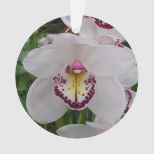 Ornamento Orquídea Branca II Elegante