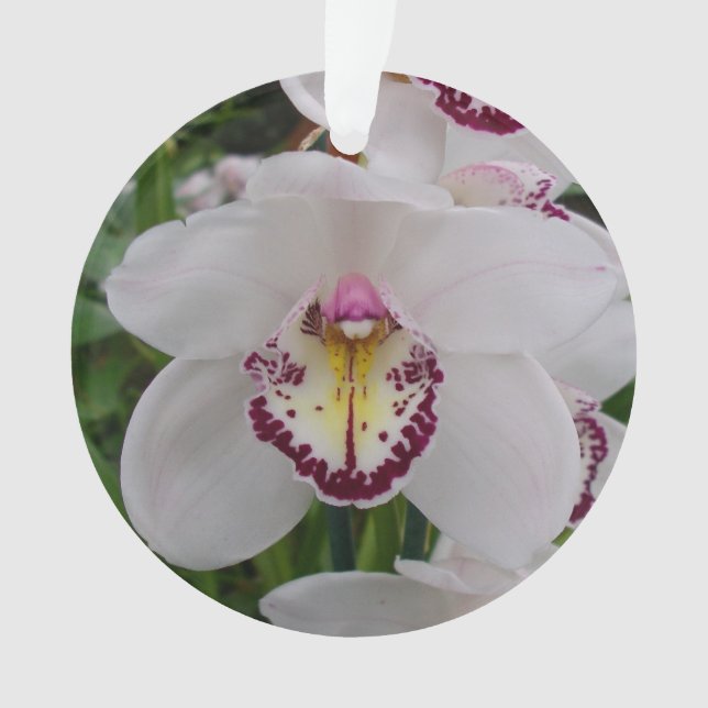 Ornamento Orquídea Branca II Elegante (Frente)