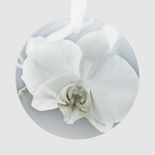 Ornamento Orquídea Phalaenopsis Branca