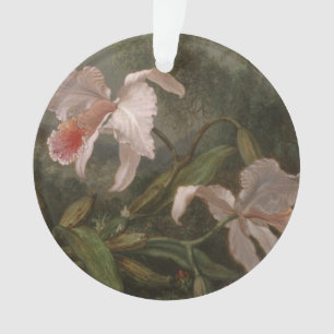 Ornamento Orquídeas e colibris da selva