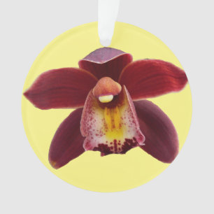 Ornamento Orquídeas Maroon I Belo Floral Vermelho