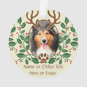 Ornamento Os Antlers do Natal para o cão/gato personalizam
