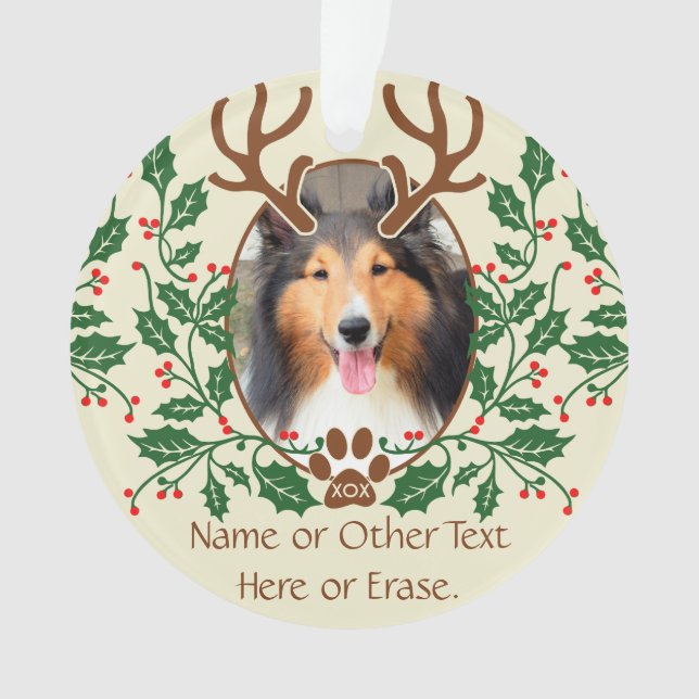 Ornamento Os Antlers do Natal para o cão/gato personalizam a (Frente)