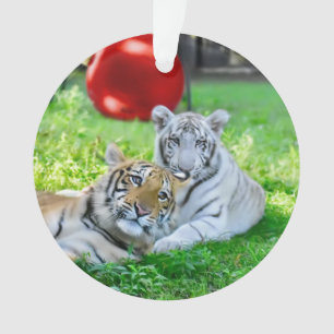 Ornamento Os Meninos -