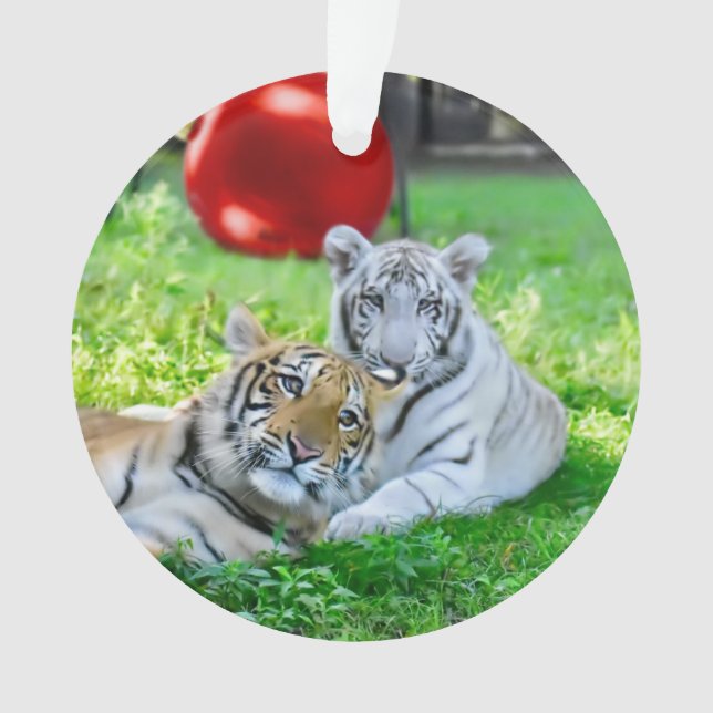 Ornamento Os Meninos - (Frente)