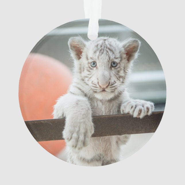 Ornamento Os Meninos - (Verso)