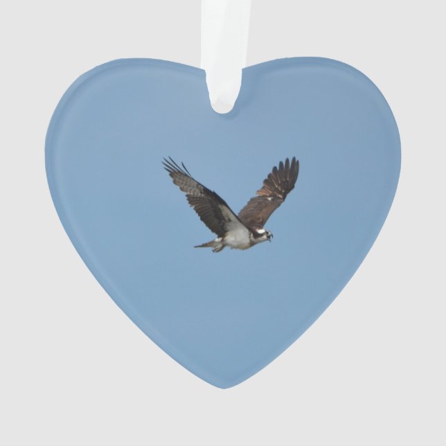 Ornamento Osprey de deslizamento (Verso)