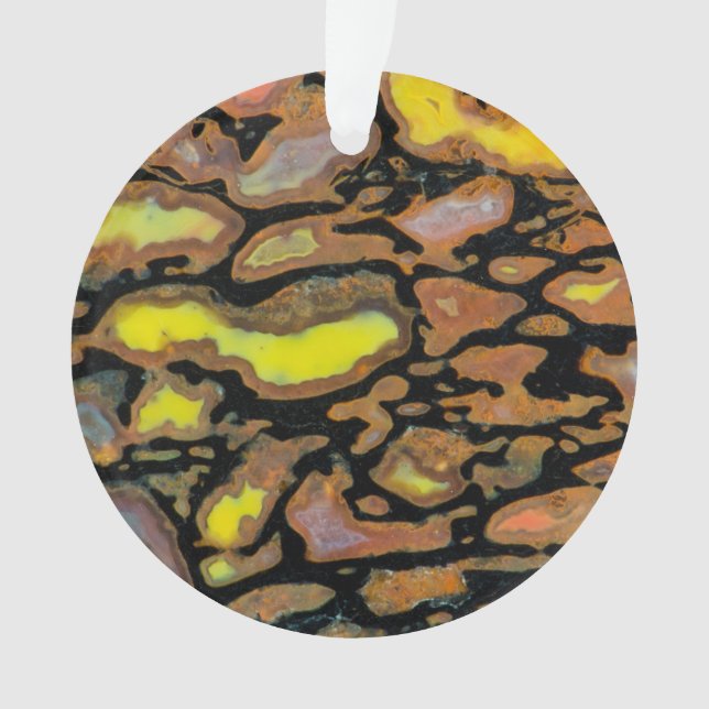 Ornamento Osso Dinossauro Multicolorido (Frente)