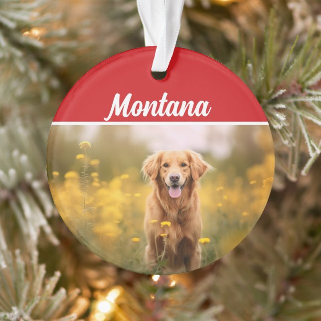 Ornamento Ouro Retriever Name e Photo Holiday Christmas (Árvore)
