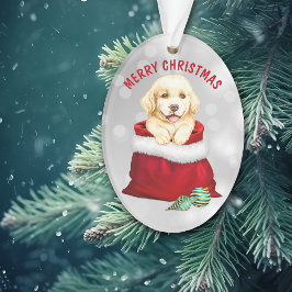 Ornamento Ouro Retriever Puppy Dog Surpresa Ornament