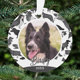 Ornamento Padrão Border Collie Nome do Cão Foto Natal 
