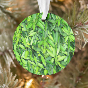 Ornamento Padrão de Folhas Verde Lush - Botânica da Natureza