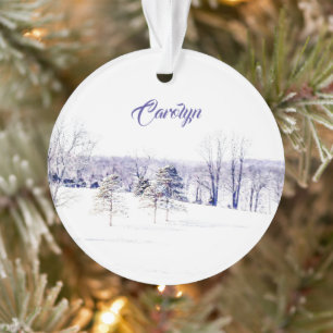 Ornamento Paisagem de inverno de neve