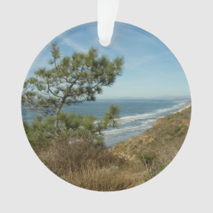 Ornamento Paisagem de Torrey Pine e Costa da Califórnia
