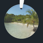 Ornamento Paisagem tropical bonita de antiguan Beach<br><div class="desc">Esta cena tropical de uma praia de Antiguan mostra os múltiplos tipos de flora que eles têm. De um lado você tem uma palmeira de coco, mas à distância você pode ver vários cactos. A água estava tão clara que você podia ver pequenos peixes prateados nadando através dela. Veja na...</div>