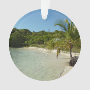 Ornamento Paisagem tropical bonita de antiguan Beach