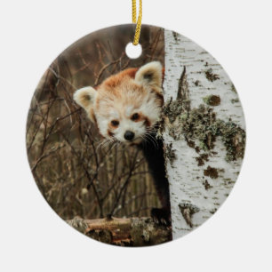 Ornamento Panda Vermelho