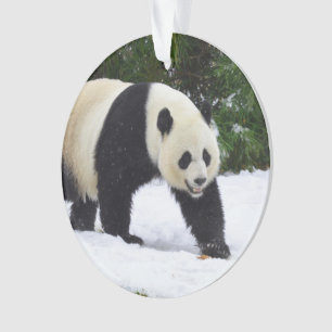 Ornamento Pandas gigantes de Smithsonian   na neve