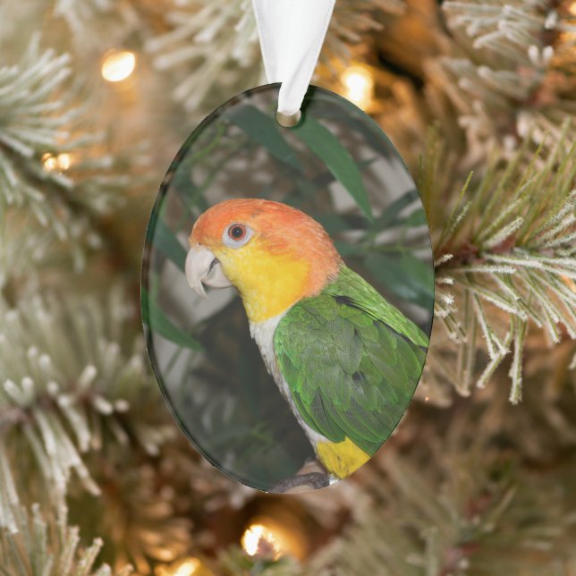 Ornamento Papagaio Caique Branco com Árvore Bamboo (Árvore)