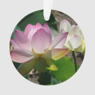 Ornamento Par de Flores de Lotus I
