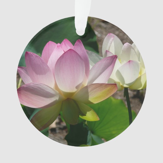 Ornamento Par de Flores de Lotus I (Frente)