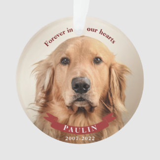 Ornamento Para sempre em nossos corações - Foto personalizad