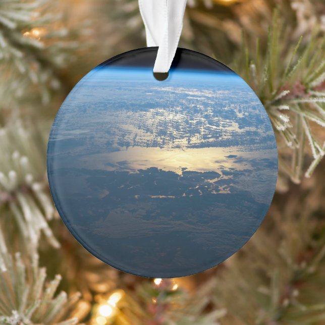 Ornamento Parque Nacional de Laguna San Rafael, no sul do Ch (Árvore)