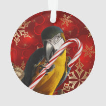 Parte dianteira e parte traseira feitas sob