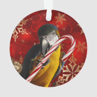 Ornamento Parte dianteira e parte traseira feitas sob