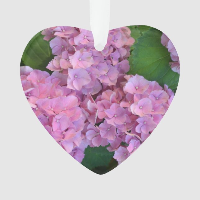 Ornamento Pastel rosa Hortensia hydrangea floresce (Frente)