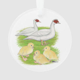 Ornamento Patos da Família Muscovy Branca