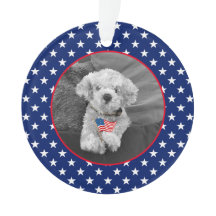 Patriótico Vermelho Branco Azul Nome da Foto DATA