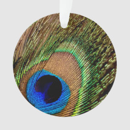 Ornamento Peacock Retroativo