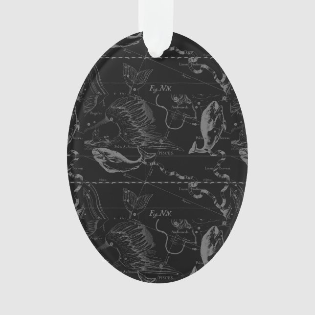 Ornamento Peixes Constelação Hevelius 1690 Mapeamento Engren (Frente)