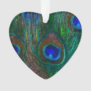 Ornamento Penas Coloridas de Pêssego Estilo de Etching