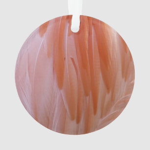 Ornamento Penas de Flamingo em Tons de Rosa