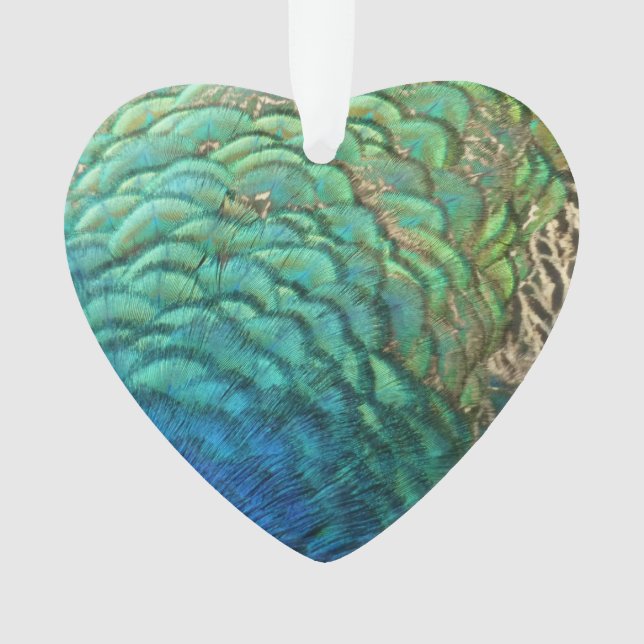 Ornamento Penas de Peacock I Abstrato (Frente)