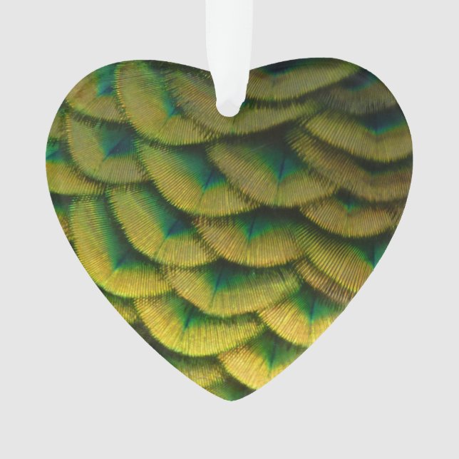 Ornamento Penas de Peacock II Natureza Colorida (Frente)