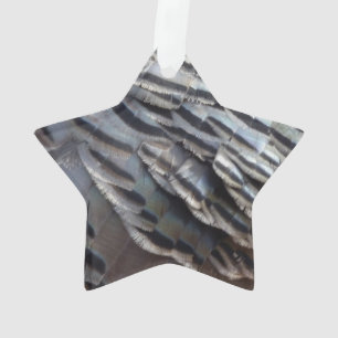 Ornamento Penas de Peru Selvagem II Design Abstrato da Natur