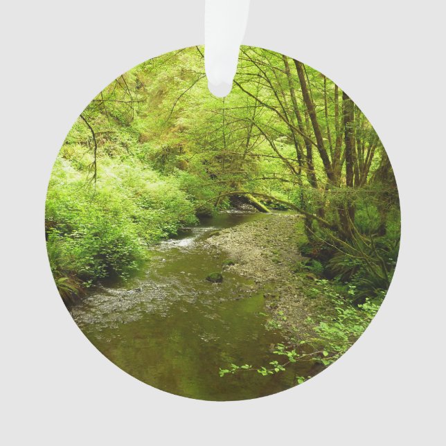 Ornamento Perdido Homem Creek I no Parque Nacional de Redwoo (Frente)