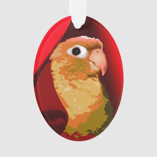 Ornamento Periquito Conure de Bochecha Verde Carinho de Ave  (Frente)