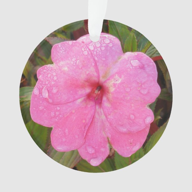 Ornamento personalizado da Flor Rosa (Frente)